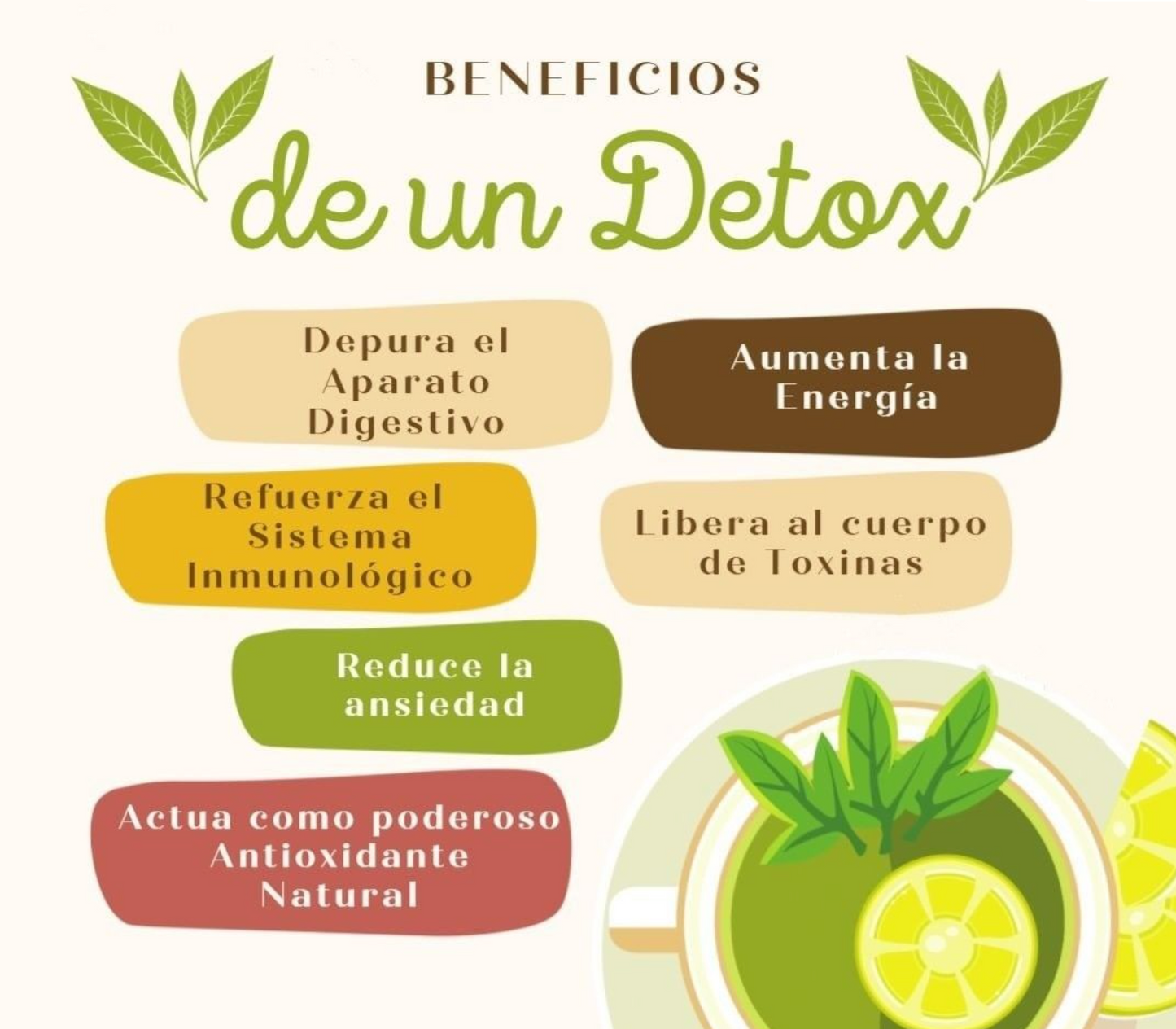 Detox digestivo + Limpiador de colon